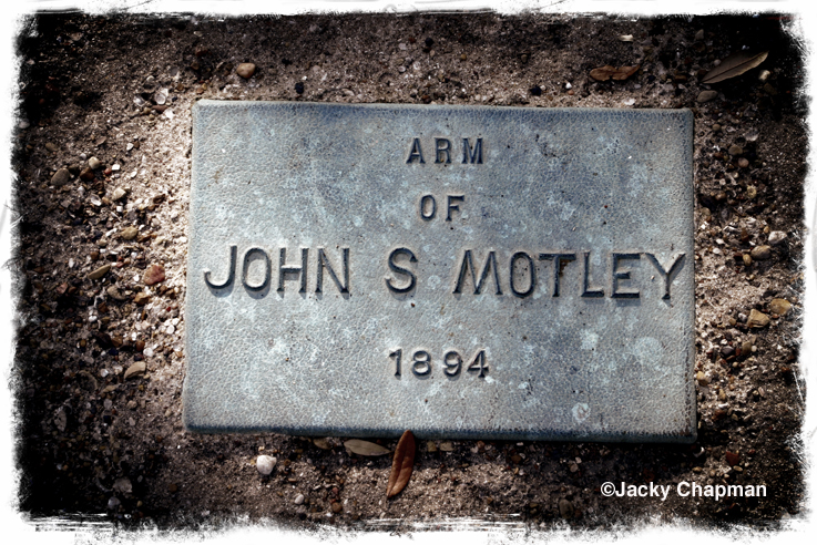 The Arm of John S Motley 1894
